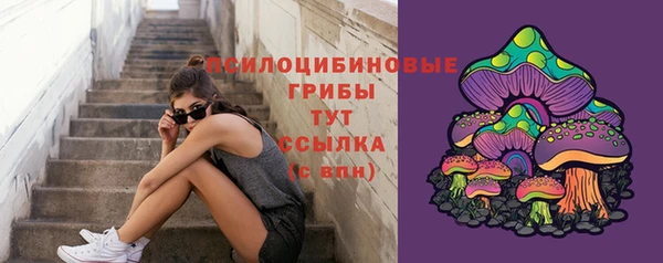 твердый Балахна