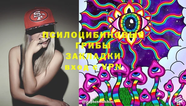 хмурый Балабаново